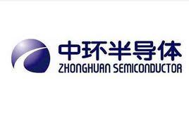 天津市环欧半导体材料技术有限公司